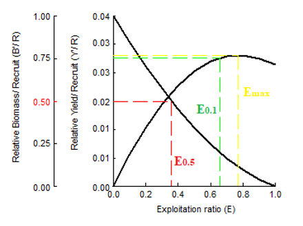 Figure 8: Relative yield per recruit (Y`/R) and biomass per recruit (B`/R) (Knife-edge selection) of Rhinobatos rhinobatos collected from Syrian seawaters.