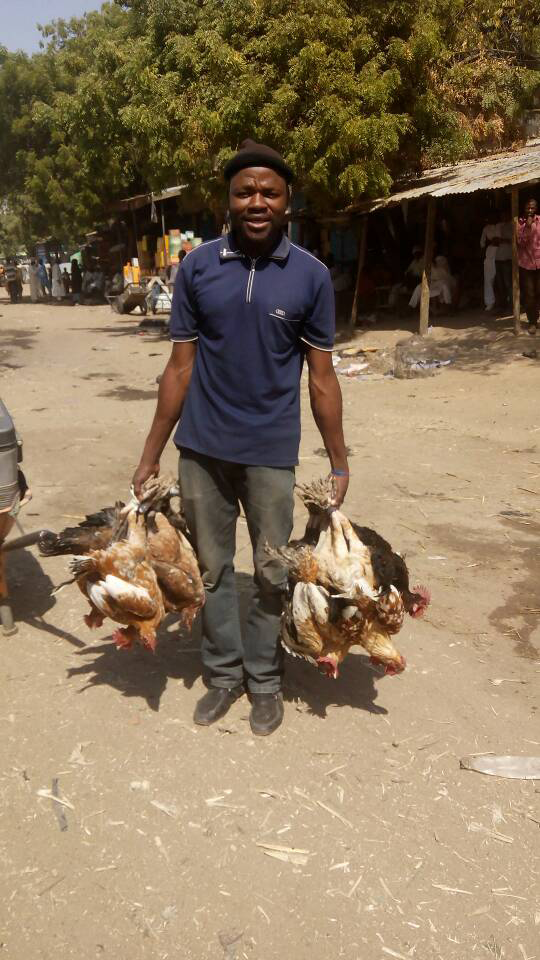 Figure 5: Young Village chickens cramped in a sack arrived live bird market in Maiduguri from another live bird markets from neighboring state.