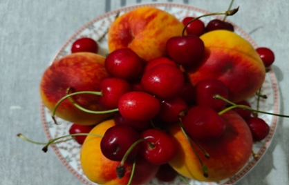 Figure 1: Fruits-A Natural Source of Nutraceuticals.
