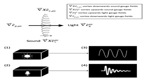 Figure 5: Schematics of an intensity profile signal/noise matrix measurement instrumentation systems with point-to-point precision accurate integrated circuit diamond chips microprocessors. Observable measurable astrophysical signal/noise matrix of sound and light detected by sensors decoded by component elements linked to oscilloscope spectroscope and sound meter to gauge fields and the wavefunctions [19,30].
