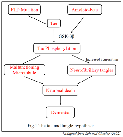 Figure 1: The Tau and Tangle Hypothesis.