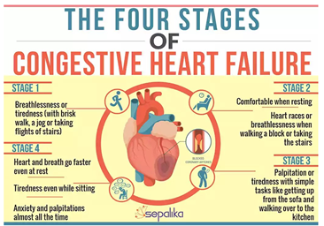 Figure 4: The four stages of Congestive Heart Failure.