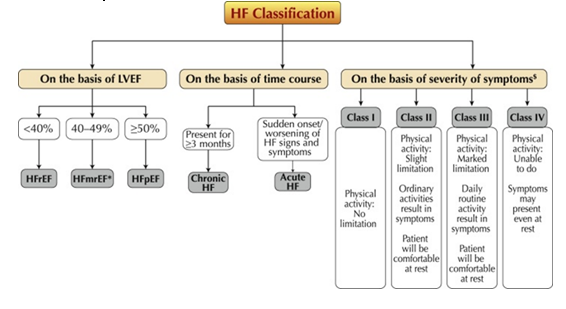 Figure 6: HF Classication.