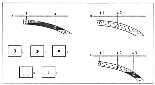 Figure 2: In an oil deposit with a gas cap, the oil density varies between 0.84-0.87 with weighting towards the water-oil contact zone (Figure 2A).