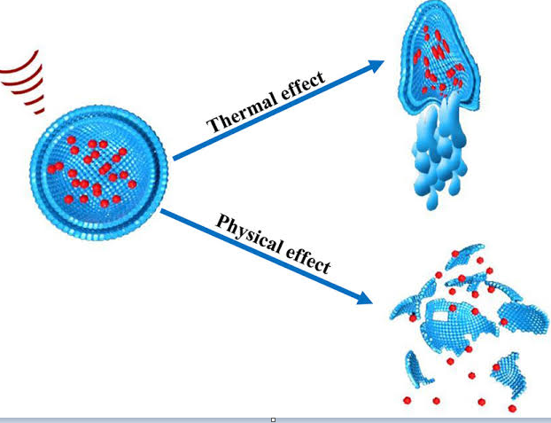 Figure 1: Physical & Thermal Effect. Source: Low ZL, et al. [10]