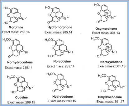 Figure 3: Molecular Structures of the Demethylated Metabolites of Opioids.