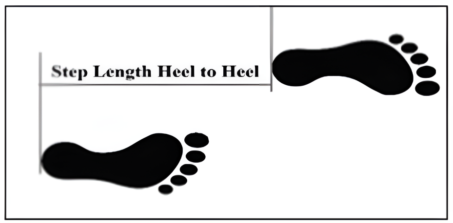 Figure 2: Step Length (Heel to Heel).