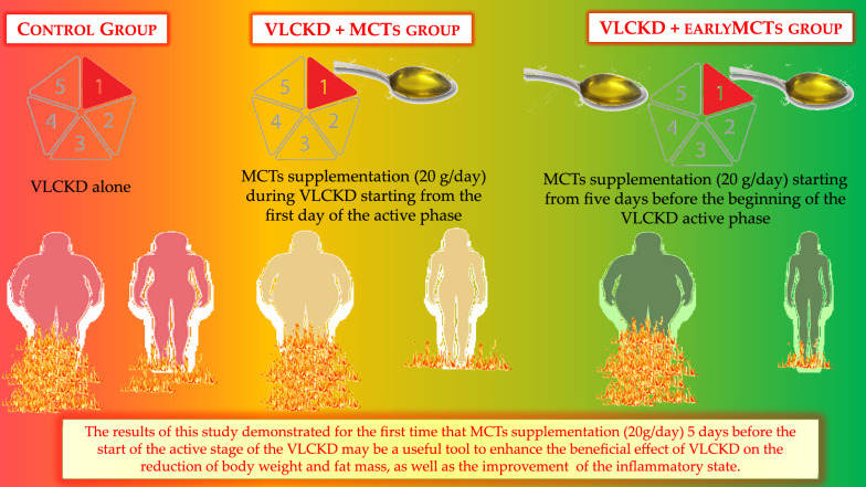 Figure 2: ** Courtesy ref no -26-MCTs supplementation during the active stage of the VLCKD. The MCTs supplementation (20 g/day) 5 days before the beginning of the VLCKD active phase might facilitate the transition into ketosis thus contributing to the effectiveness of the nutritional intervention enhancing its beneficial effects on weight loss, body composition modulation and inflammatory status.