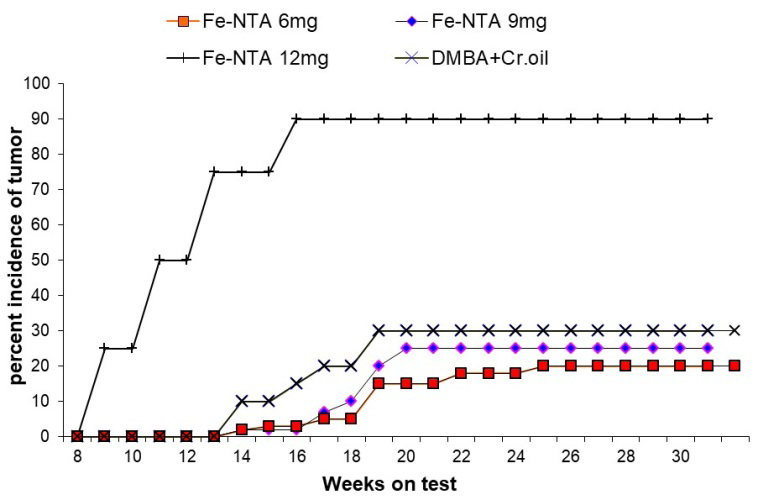 Figure 3: Percentage incidence of cutaneous tumors in DMBA initiated and BPO-promoted normal and Fe- NTA treated mice. The data were recorded every week and plotted as a function of weeks on test. Each value represents the mean incidence data of 20 animals.
