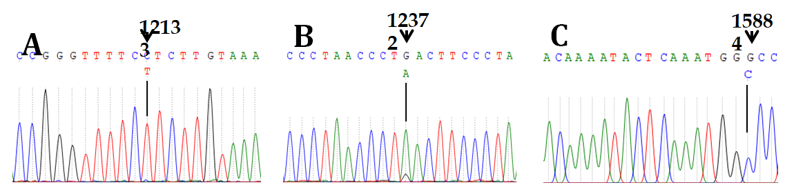 Figure 2: Computational predictive tools strongly support that the mutations show different types of variation.