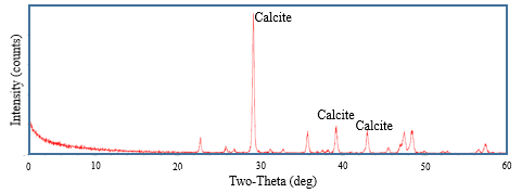 Figure 3: Configuration of fluidized column (1st stage) and hydroponic phytoremediation (2nd stage).