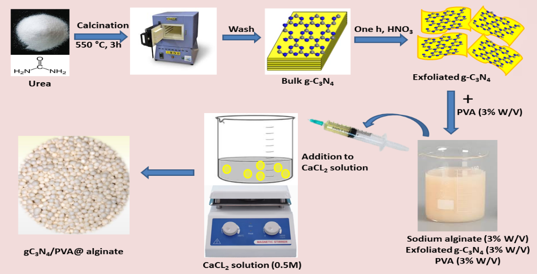 Figure 1: Schematic diagram for the synthesis of gC3N4/PVA@ alginate beads.