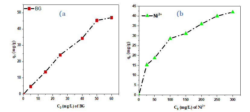 Figure 10: The effect of the initial concentration of (a) BG and (b) Ni2+ on adsorption capacity of gC3N4/PVA@alginate beads.