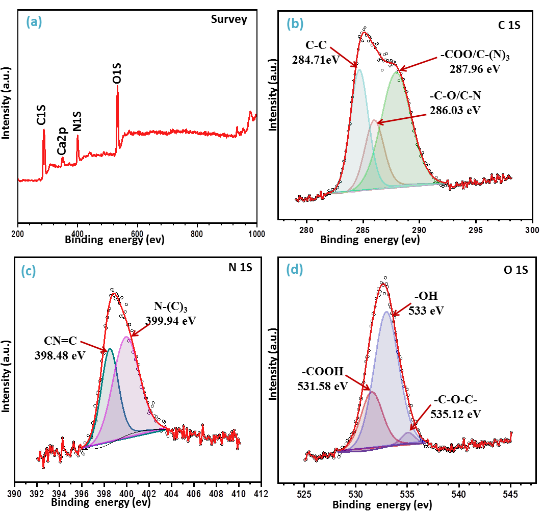 Figure 4: XPS spectra of gC3N4/PVA@alginate: survey scan (a), C 1S (b), N 1S (c), and O 1S (d).