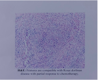 Figure 3: Histology Clinical Photograph.