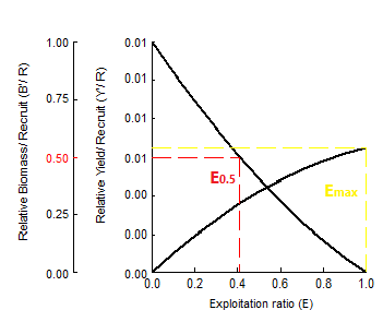 Figure 6: Relative yield per recruit (Y`/R) and biomass per recruit (B`/R) (Knife-edge selection) of _Helicolenus_ _dactylopterus_ collected from Syrian coast.