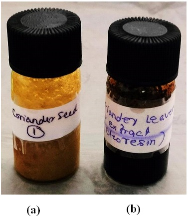 Figure 1: Concentrated methanolic extracts (Oleoresin) (a) coriander seeds and (b) coriander leaves.