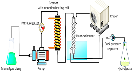 Figure 1: Schematics of flash hydrolysis system.