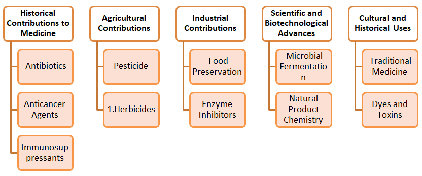 Figure 1: Historical Contributions of the Streptomyces.