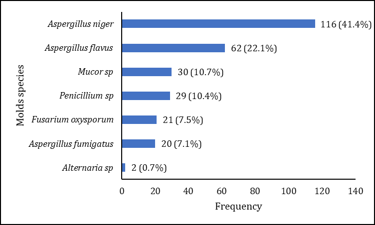 Figure 3: Distribution of molds species for all clinical services.
