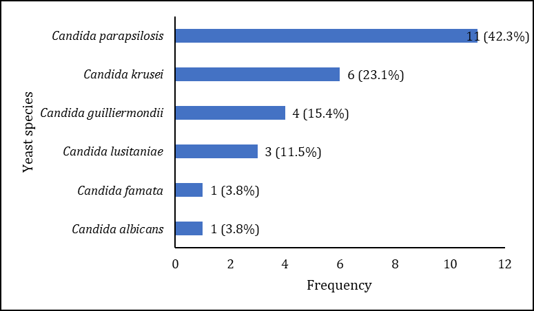 Figure 4: Yeast species distribution for all clinical services.
