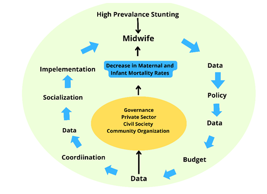 Figure 1: Stunting Service Arrangement Model in South Central Timor Regency.