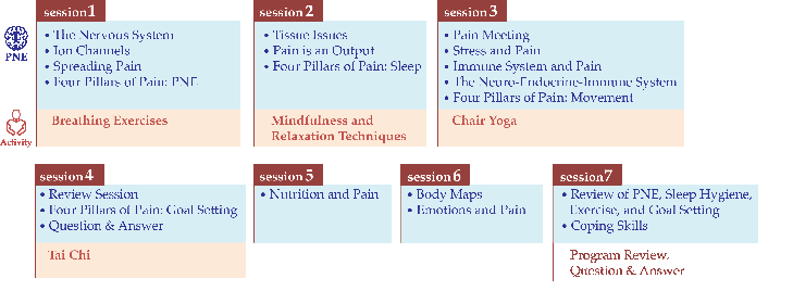 Figure 1: Multi-disciplinary pain program (4 weeks; 7 sessions).