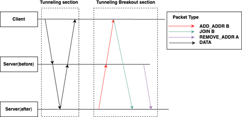 Figure 1: Migration with Multipath-TCP and Tunneling.