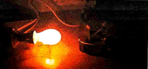 Figure 5: Setup to show the effect of Different Wavelengths of Light on Photosynthesis.
