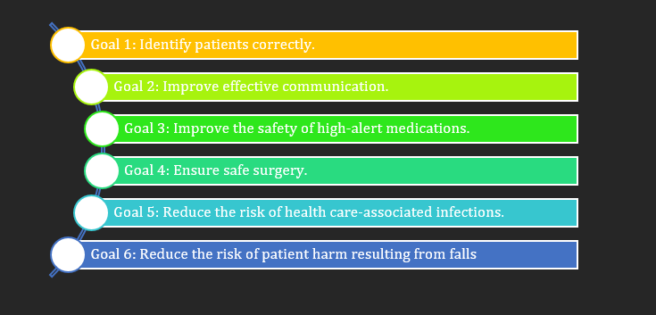 Figure 1: International Patient Safety Goals.