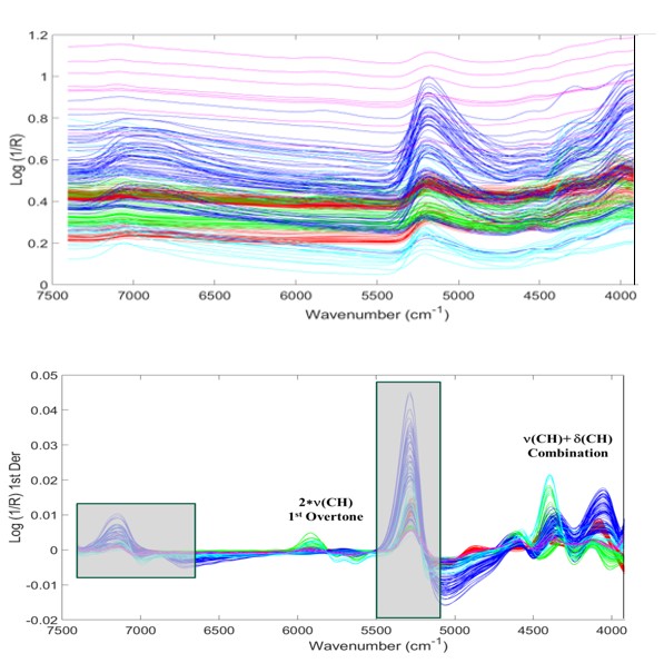 Figure 2: (a) Original (b) pretreated calibration spectra (after outlier removal) of all sites (the gray-shaded areas in (b) highlight the truncation ranges).