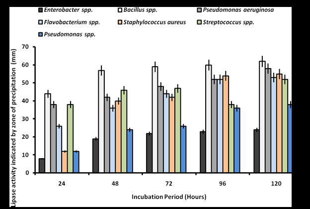 Figure 1: Qualitative Lipase Activity Screening of Bacterial Isolates on Tween 80 Agar. The bar represents the standard error of duplicate determination.