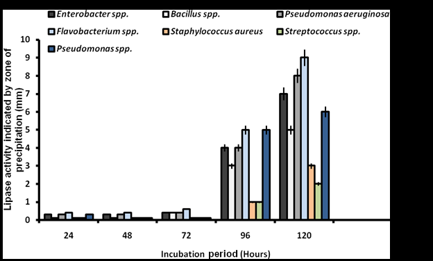 Figure 2: Qualitative Lipase Activity Screening of Bacterial Isolates on Phenol Red Olive Oil Agar. The bar represents the standard error of duplicate determination.