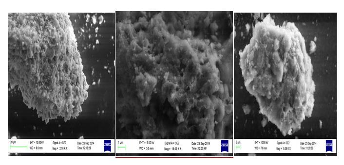 Figure 1: SEM of (Ce-Mg/Al2O3) with 2.5%.