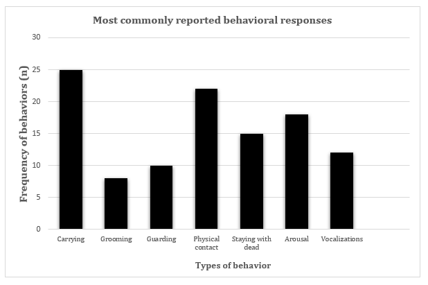 Figure 2: Many of these behaviors were reported in different species. Carrying the dead was commonly reported (65% of the papers), as were physical contact (55%), and staying with the dead (37.5%). Other predicted reactions (Prediction 1) included: Aggression (25.6% of the papers), grooming the carcass (20.5%), self-grooming (97.4%), and allogrooming (12.8%).