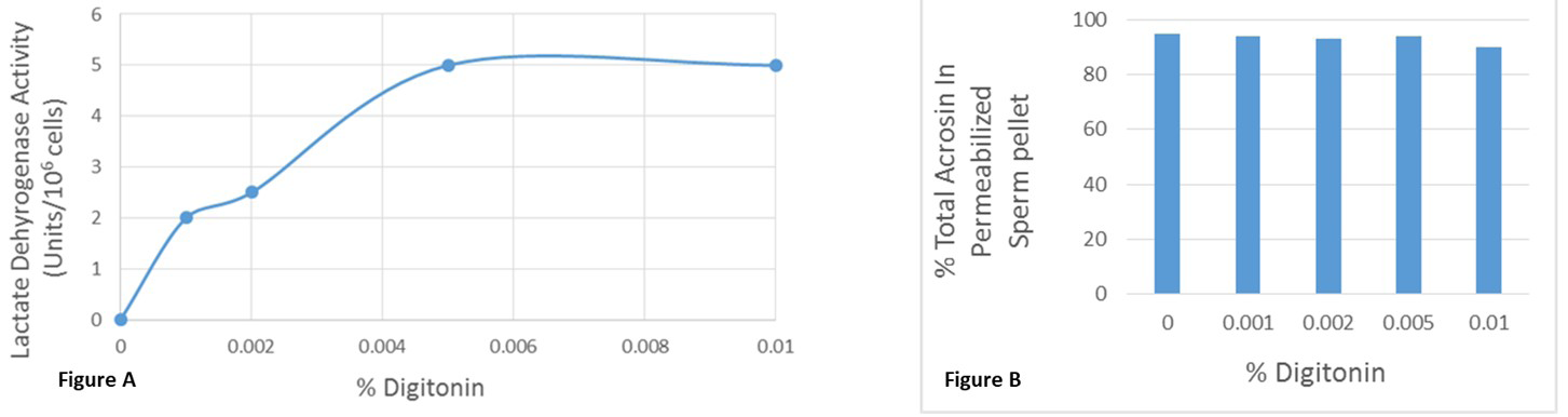 Figure 3: A: Permeabilization of bovine ejaculated sperm by digitonin was monitored by assaying lactate dehydrogenase (LDH) activity. Noncapacitated spermatozoa (5 X 107 cells) were permeabilized using various digitonin concentrations (0.001%-0.01%). Sperm were pelleted after centrifugation at 14,000g for 10 mins and the LDH activity was measured in the supernatant. The LDH activity in the supernatant was increased in a dose-dependent manner and it reaches at plateau in 0.005% digitonin. The data are representative of three separate experiments. B: To examine the acrosomal membrane integrity, acrosin activity was assayed in the control (digitonin untreated), and the different concentrations digitonin (0.001%-0.01%) treated sperm pellet. Acrosin activity of permeabilized sperm pellet remained unaltered by digitonin (0.001%-0.01%) treatment. The data are representative of three separate experiments.