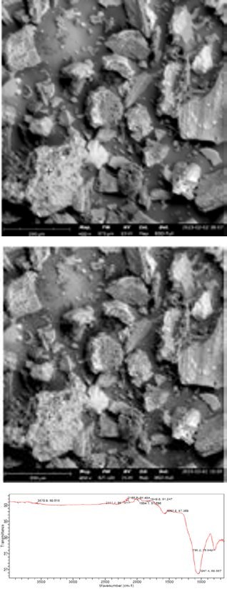 Figure 1: It can be seen that the morphologies of the RHB and SCB are rough with broken surfaces which showed the biochar contained numerous microspores which is characteristic of materials capable of adsorption. Hence, its application in the removal of bisphenol A.