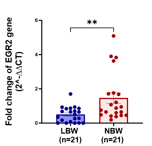 Figure 20: Regression Analysis between Gestational Age and Birth Weight.