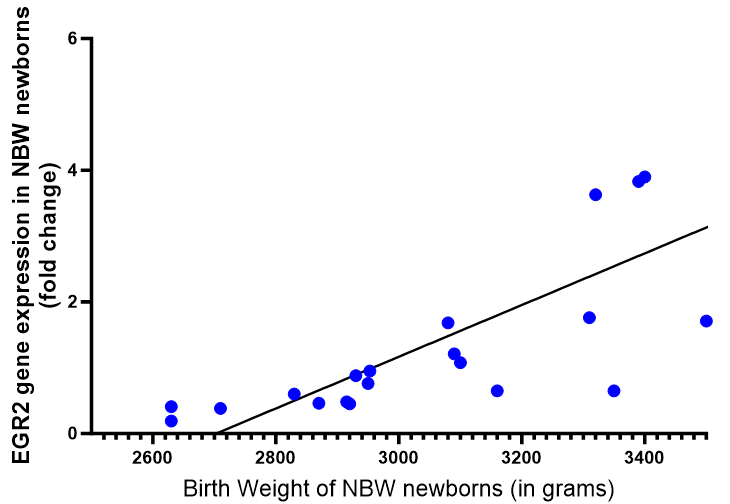 Figure 25: Median Expression of EGR2 Gene (Represented as Delta CT Value of Quantitative Real Time PCR) in Low Birth Weight (N=21) and Normal Birth Weight Newborns (N=21).
