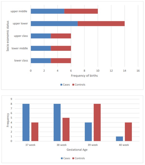 Figure 8: Socio-economic Status Distribution.