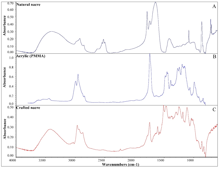 Figure 8: Natural nacre averaged DRIFT spectra of nacre shell (n = 5) specimens including one Haliotis kamtschatkana (pinto abalone), three specimens of Haliotis rufescens (red abalone), and one Pteria sterna (Pacific winged oyster) (A). The DRIFT spectrum of acrylic (PMMA) (B) and crafted nacre (C) are inconsistent with the natural nacre averaged spectrum.