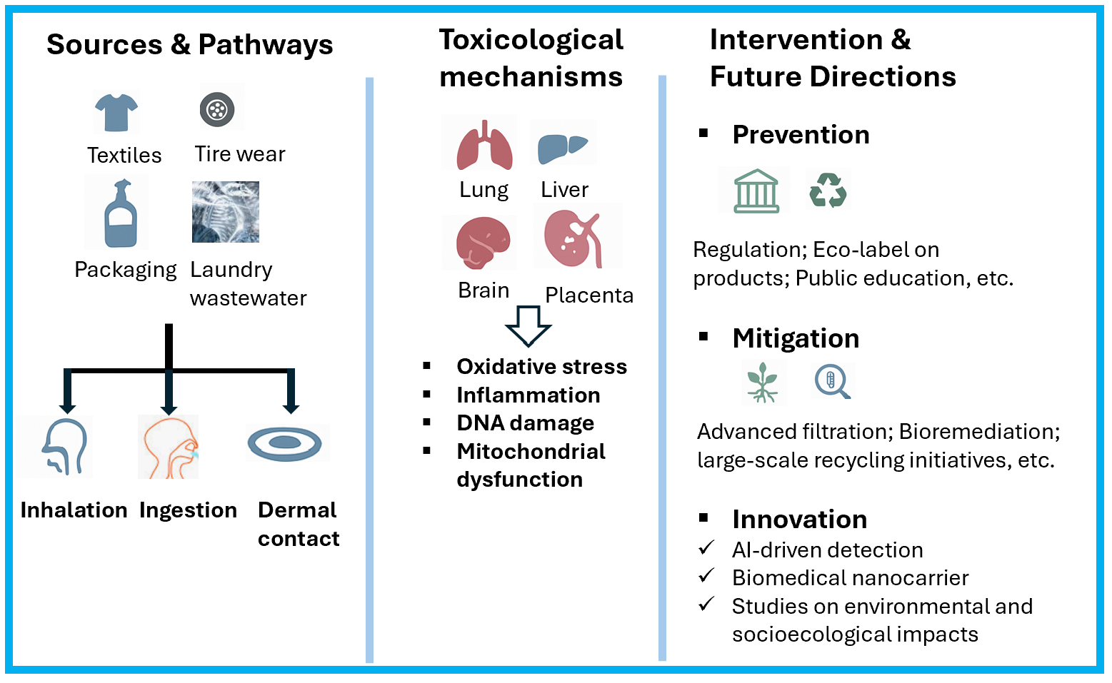 Figure 1: Schematic diagram of human exposure to MNPs, including pathways, toxicity, interventions, and research directions.