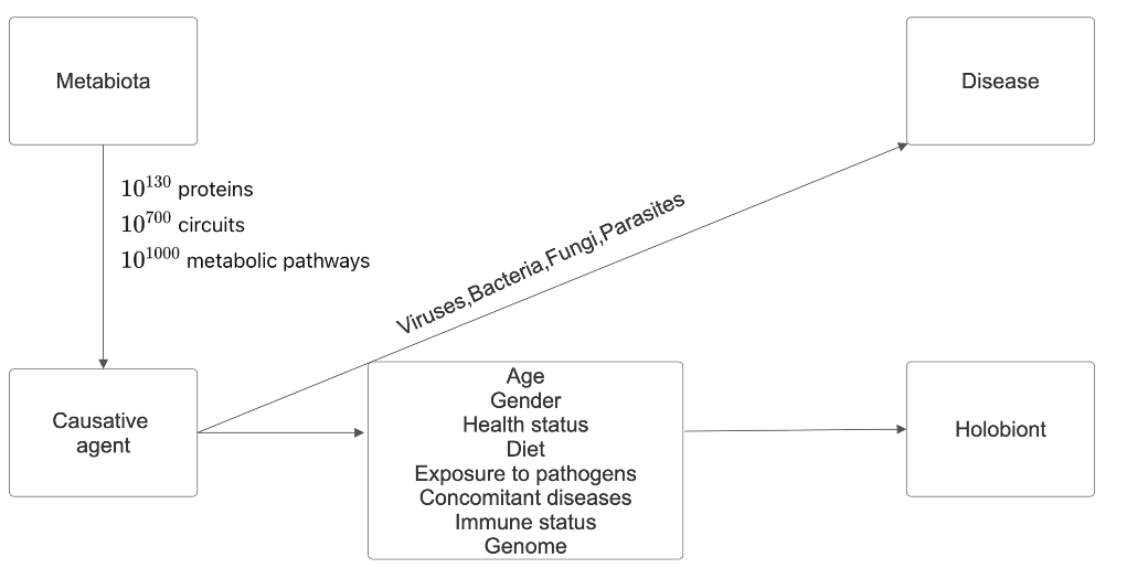 Figure 3: Three-dimensional model.