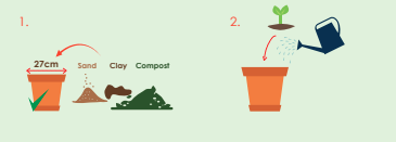 Figure 2: Steps for planting in pots.