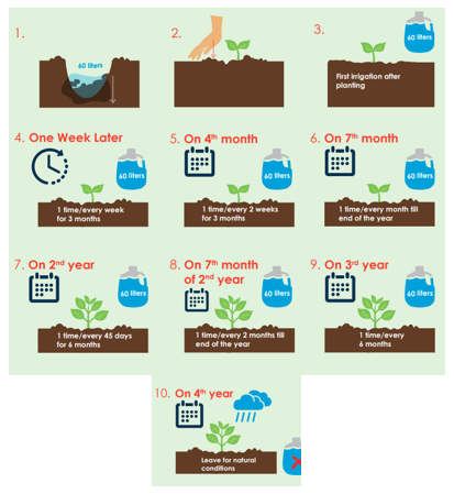 Figure 3: Plants in pots depend on the water applied and they cannot survive for long without irrigation. Depending on the season, the soil in the pot needs to be wet.