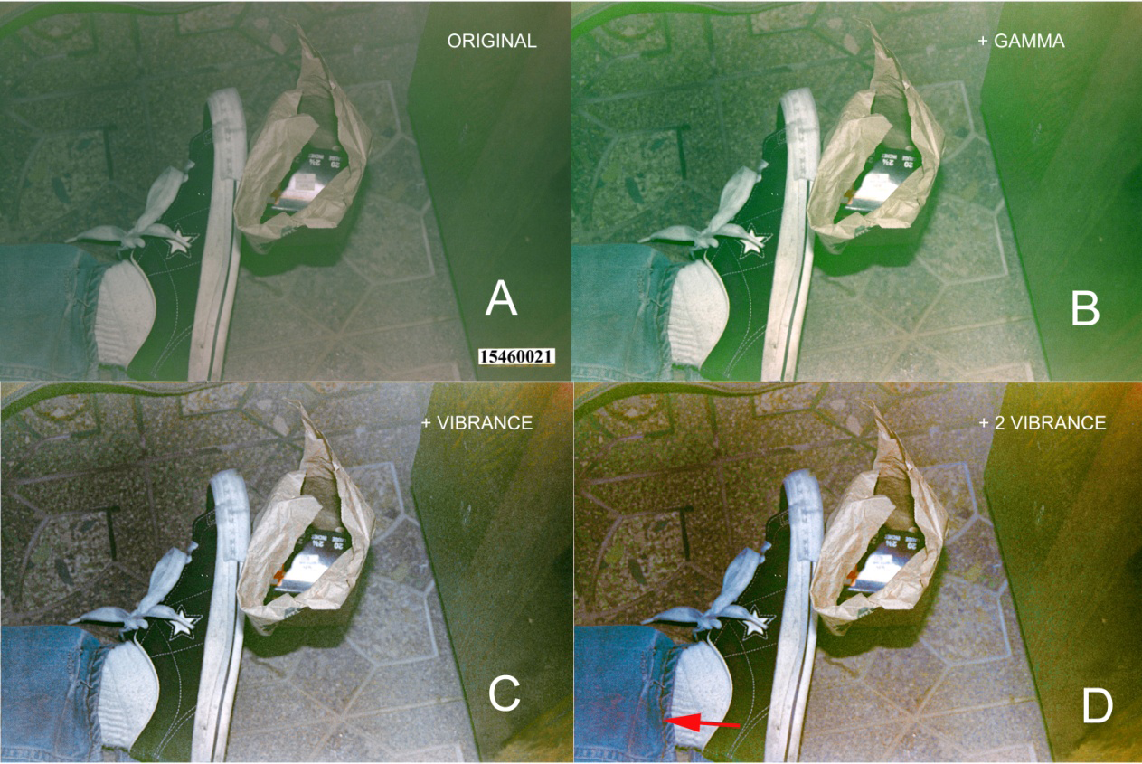 Figure 10: Crime scene image 15460021 from the SPD 2014 image release of the left lower leg and foot; Photoshop processed by author BB. A. The original image released by the SPD of Cobain’s left foot with a bag of 20-gauge shotgun shells; likely the original image was taken directly from the 35-mm negative by the Noritsu Koki scanner. The image resolution was 6096x4042 pixels. The image required enhancement for analysis. B. Gamma adjusted image in Photoshop. C. The gamma-adjusted image enhanced by the Photoshop routine, Vibrance. D. Two additional separate adjustments by the Photoshop Vibrance routine revealed a reddish discoloration on the pant at the arrow.