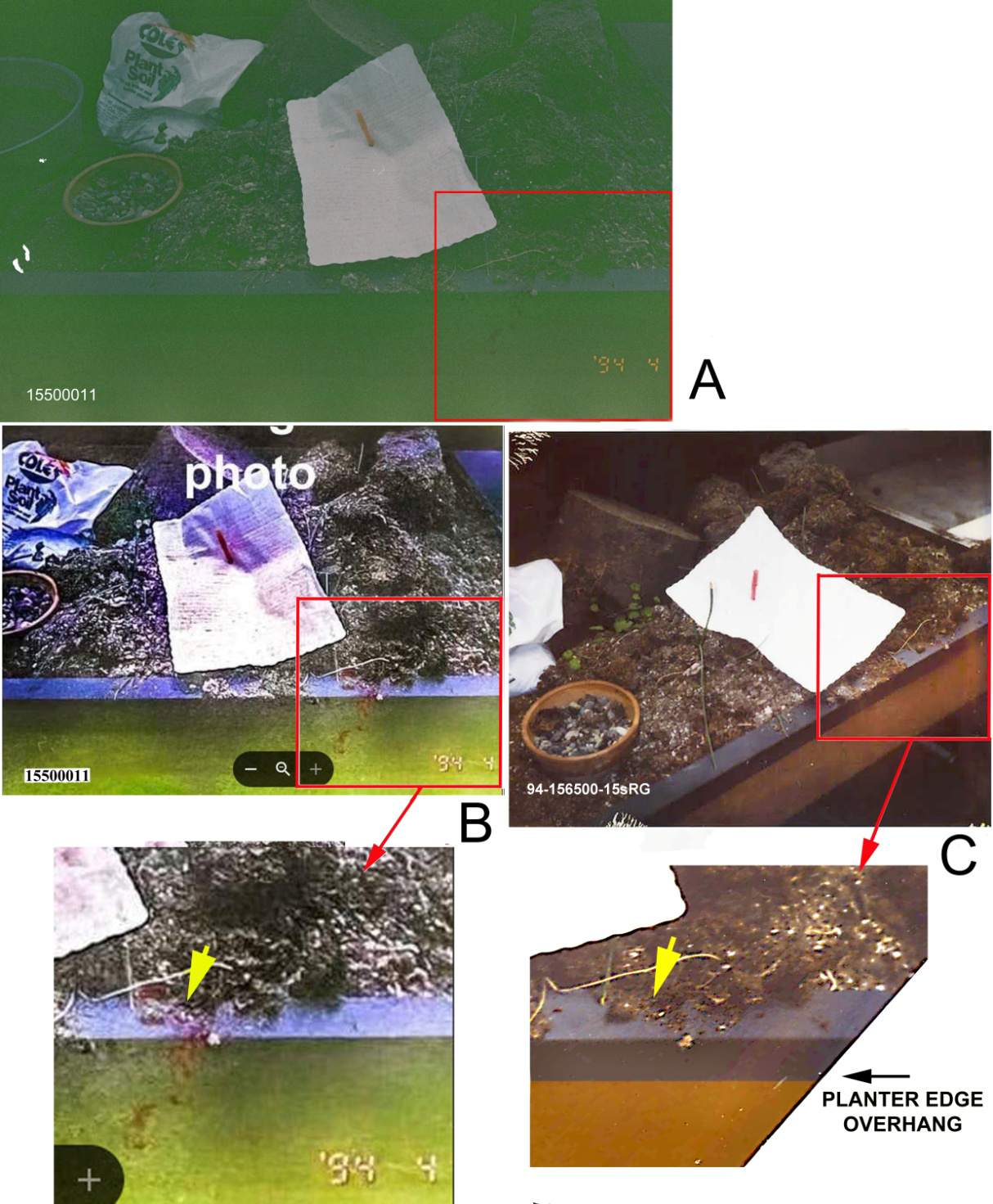 Figure 12: Image of the elevated planter surface and the handwritten alleged suicide letter, which includes an alleged bloodstain on the front of the elevated exterior planter frame; image file numbers are in the lower left. A. The original Apple QuickTake 100/dye-sub print (also Figure 2); the image was expanded to a higher resolution by scanning its dye-sub print (see above). The alleged bloodstain is within the square. Image from the SPD 2014 release. B. Top. Image A was processed by another party using a gamma adjustment and adding features through an image processing program such as Photoshop. Additional features included bright spots throughout the dirt surface and accentuation of the image defect to become a bloodstain. Bottom. Enlargement of the alleged bloodstain area. The arrow points to an area that has been modified by digitally adding dirt fragments and dark red to simulate blood. C. Top. Image from a Polaroid print of the same area as B. Image part of the 2014 SPD release. Bottom. Image of the area of interest rotated, gamma adjusted, sharpened and transformed in Photoshop to show the planter in approximately the same aspect as B bottom; the “bloodstain” in B is an image artifact, not observed in this image. The yellow arrow points to the same area as in B bottom and shows that this area was modified to appear to be a bloodstain.