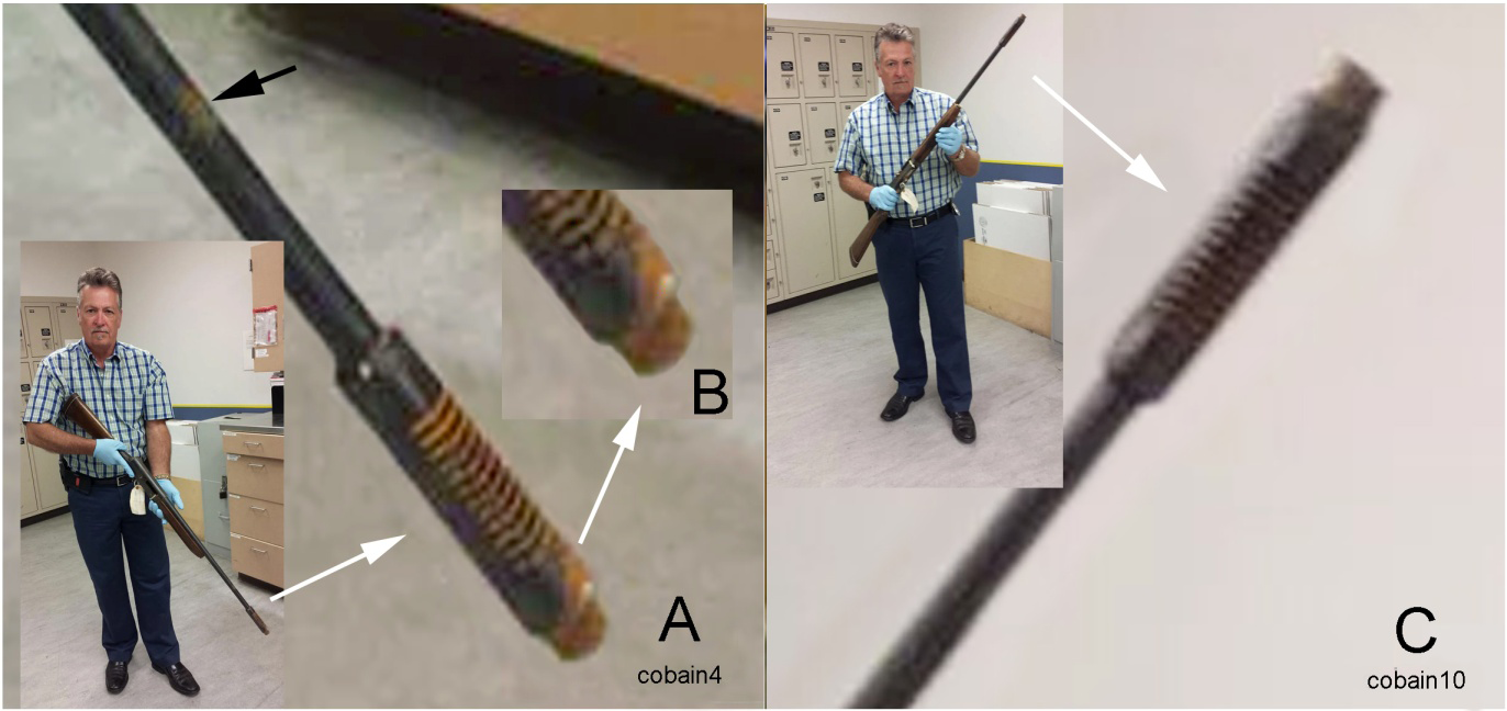 Figure 7: The Cobain shotgun with its Cutts compensator and associated bloodstaining. Image compositions by author BB from the SPD 2016 release. A. The composition of the compensator is steel with a black finish [34]; its angular ports have apparent encrusted blood, documenting that backspatter occurred when the shotgun was discharged in Cobain’s mouth. However, the surface of the compensator and the shotgun barrel to the stain at the black arrow appear free of stain, suggesting surface blood had been rubbed off. B. The compensator muzzle shows a patterned bloodstain which occurred when it was in Cobain’s mouth at the backspatter event; the shotgun was in the dorsal position up (trigger down) when the discharge occurred, contrary to the shotgun’s ventral position up (trigger-up) when Cobain’s body was found. C. The ventral side of the compensator does not show blood in the vents or on the barrel surface.