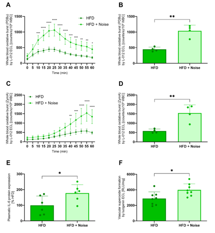Figure 2: Aircraft noise exposure increases vascular oxidative stress and inflammation. (A-D) Leukocyte-derived ROS in whole blood by L-012 enhanced chemiluminiscence (ECL). Oxidative burst kinetics upon PDBu (A) and zymosan A (C) stimulation and quantification at 20 min upon PDBu (B) and at 55 min upon zymosan A (D) stimulation. (E) Protein expression of interleukin 6 (IL-6) was assessed by dot blot analysis. (F) Quantification of aortic superoxide formation by lucigenin ECL. (A, C) Data represent the mean of n = 4 independent measurements of blood samples pooled from four animals. (B, D, E) Each data point represents a measurement from blood plasma pooled from three to six animals [B, D (n = 4), F (n = 6)]. (F) Each data point represents an individual animal (n = 8). For statistical analysis, we used an unpaired t-test (B, D, E, F) or two-way ANOVA (A, C). p < 0.05 were considered significant. (*p < 0.05, **p < 0.01, ***p < 0.001, ****p < 0.0001) All figures were adapted from [12].