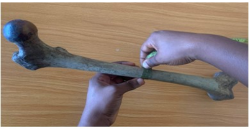 Figure 7: Measurement of middle circumference of shaft.